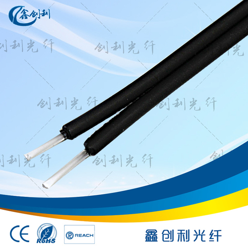 双芯1.0*2.2x4.4mm塑料光缆